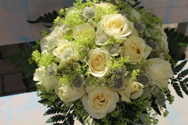 roses anthodesmi